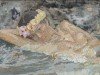 Gregory Van Raalte | Twilight painting, Flower painting 